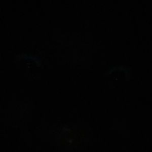 Meet your Posher, Gary